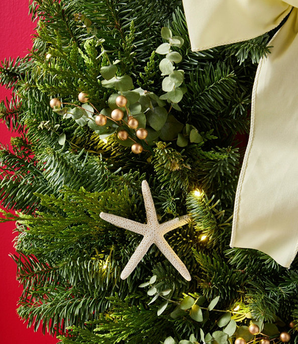 Coastal Evergreen Wreath, Lighted, 24", One Color, large image number 2