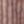 Adobe Rose, color 1 of 6