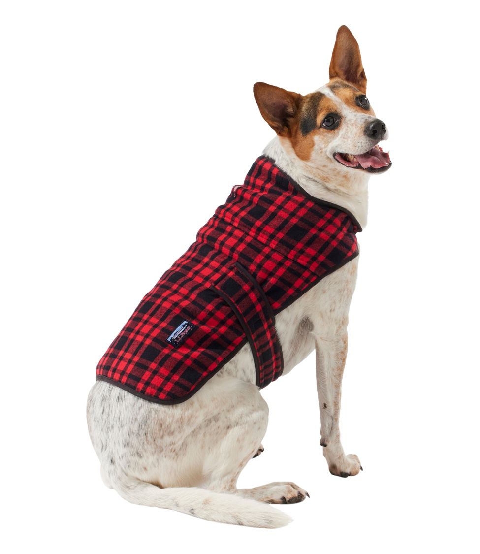 Flannel shop dog jacket