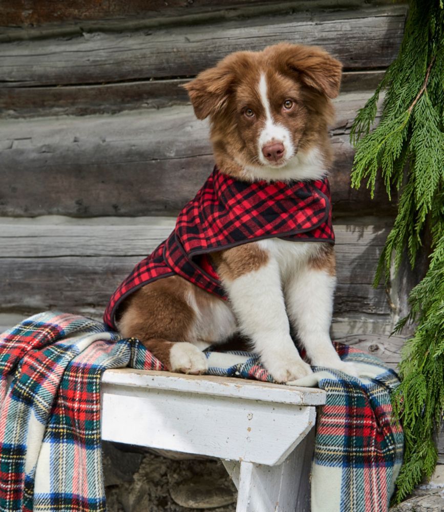 Flannel Sherpa Dog Vest, Royal Red Plaid, small image number 4