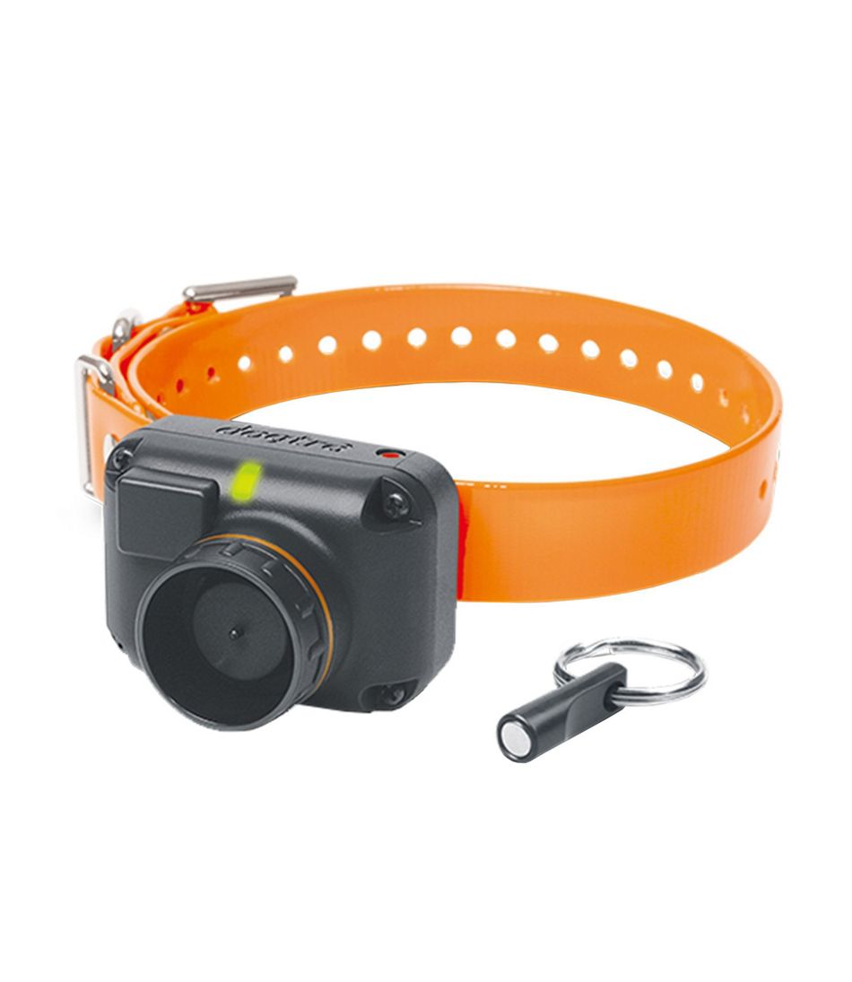 Collier camera pour chat - Cdiscount