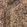 Sand, color 1 of 4