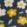  Color Option: Navy Floral, $39.95.