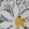 Sailcloth Floral