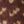 Burnt Mahogany/Katahdin Khaki, color 1 of 3