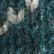 Deepest Green Birdseye