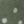 Bay Leaf Dot, color 4 of 7