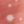 Warm Coral Floral Dot, color 3 of 3