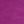 Wild Aster Rainbow, color 2 of 3