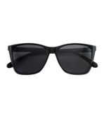 Women's L.L.Bean Bryson Polarized Sunglasses
