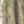 Mossy Oak Country DNA, color 1 of 1