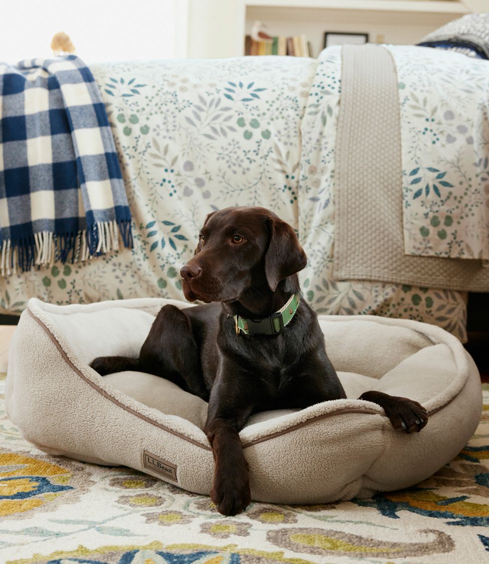 Ll bean store dog bed cover