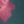 Dark Pine Winter Floral, color 2 of 2