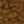 Antique Gold, color 1 of 2