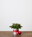 Holiday Centerpiece, One Color, small image number 0