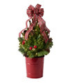 Tartan Live Tree with Lights, One Color, small image number 0