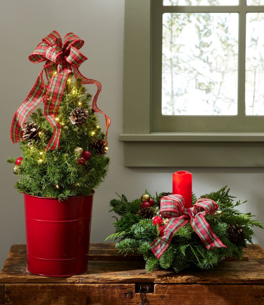 Tartan Tabletop Live Tree with Lights at L.L.Bean