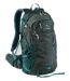  Sale Color Option: Black Spruce/Deepest Pine, $89.99.