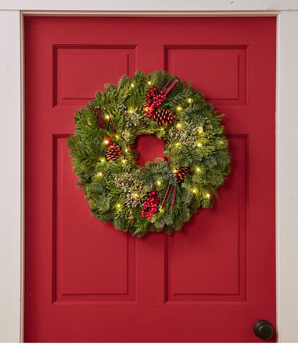 Woodland Canella Berry Lighted Wreath 20", One Color, large image number 0