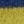 Ocean Blue/Golden Saffron, color 3 of 3
