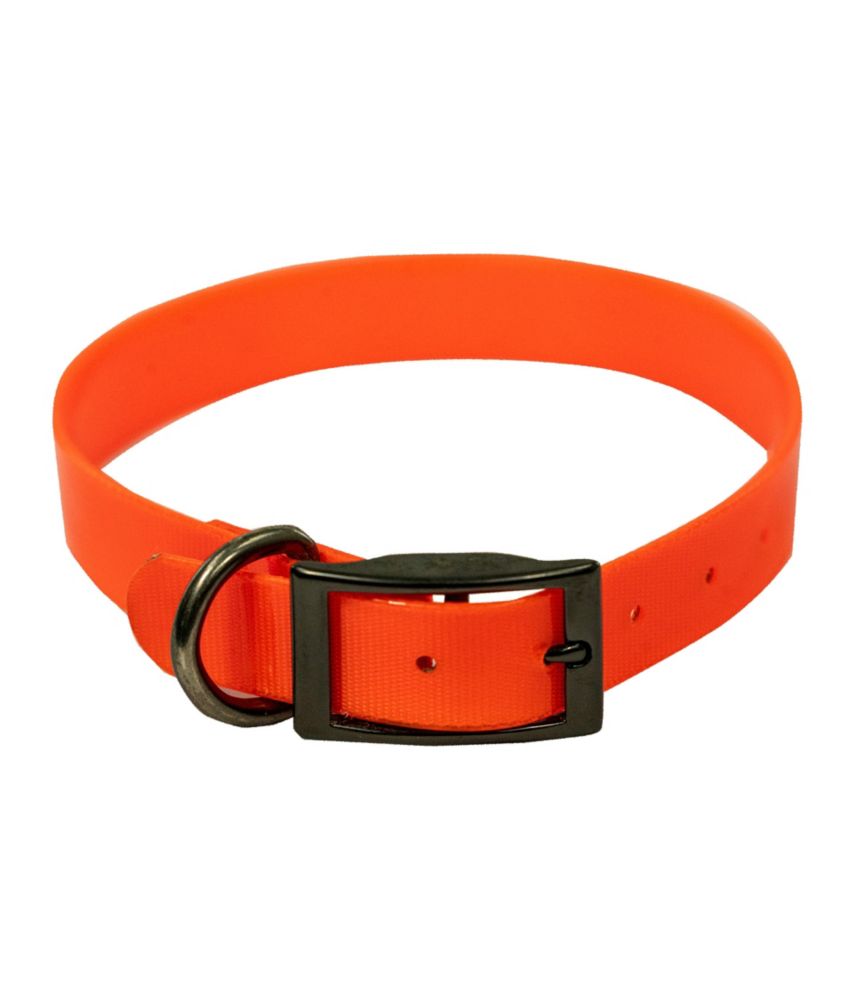 Boyt Fireflex Dog Collar | Accessories at L.L.Bean