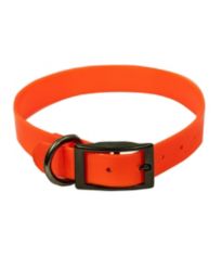 Personalized Pet Collar  Collars, Leads & Leashes at L.L.Bean