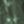 Sea Green Camo, color 1 of 1