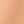 Coral Bisque, color 3 of 3