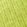 Vibrant Citron