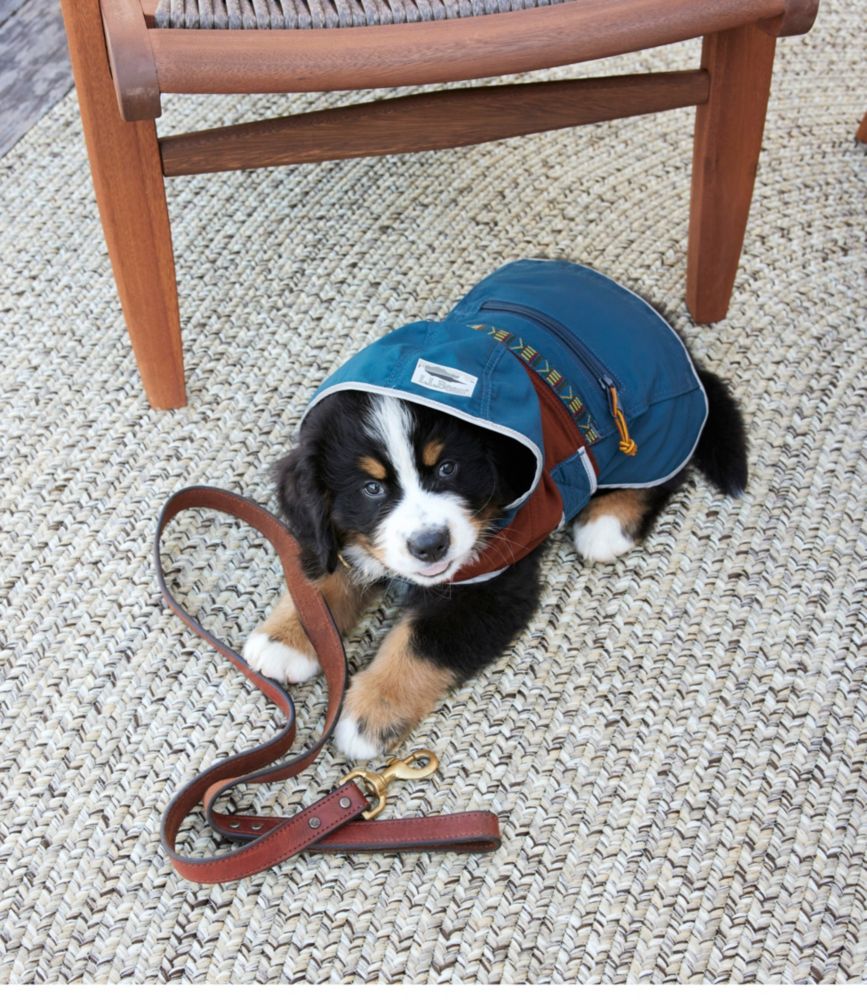 Mountain Classic Dog Anorak, Colorblock