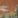 Faded Orange Vintage Scenic, color 1 of 7