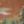 Faded Orange Vintage Scenic, color 1 of 7