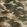 Timber Green Brushed Camo