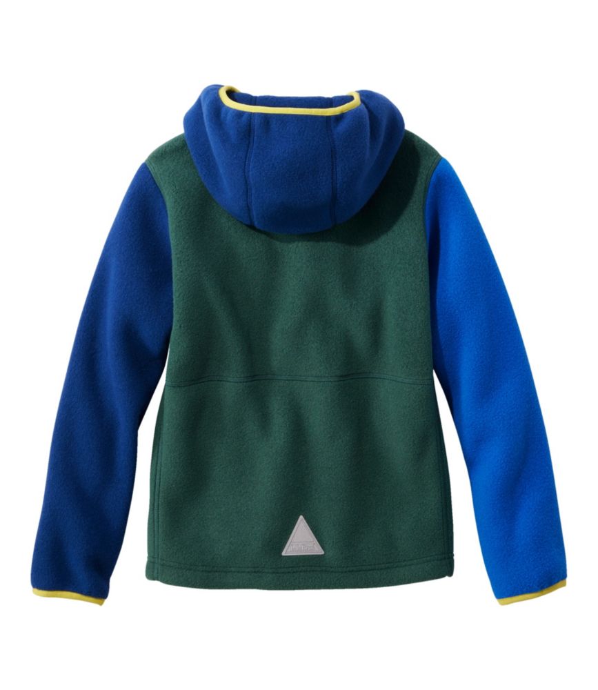 Kids' Mountain Classic Fleece, Hooded Colorblock, Deep Green, small image number 5