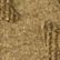 Wheat