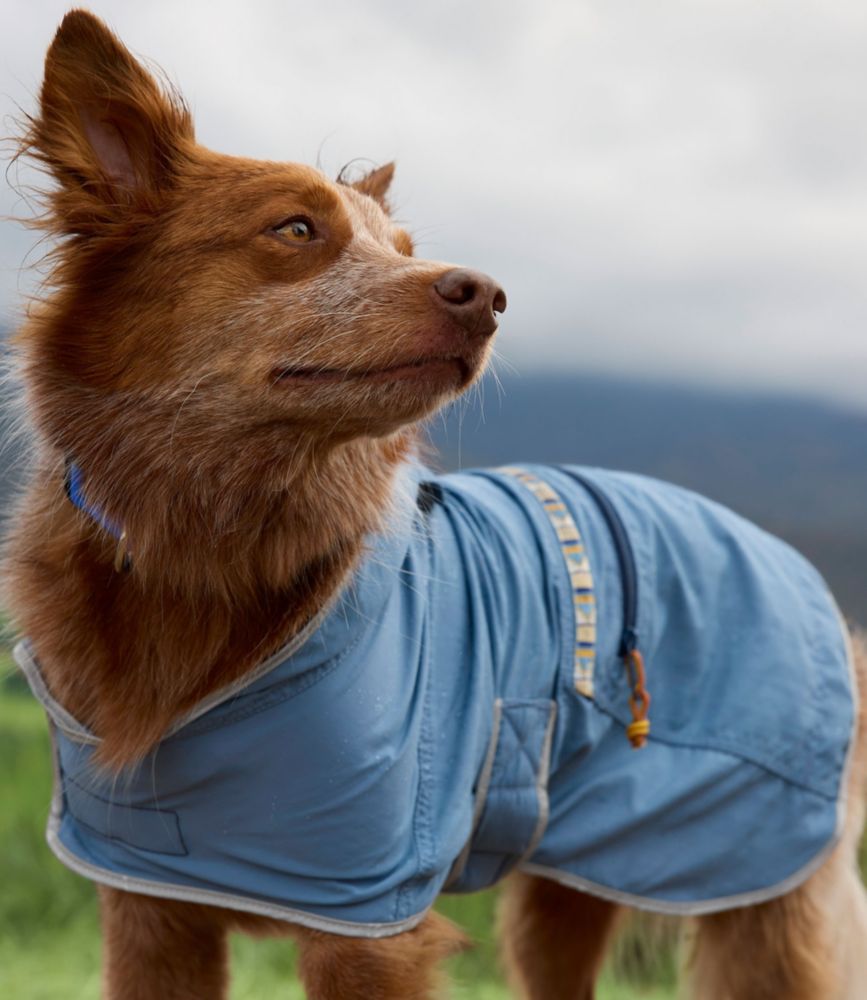 Mountain Classic Dog Anorak, Bayside Blue, small image number 3