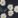 Classic Navy Wild Daisies, color 2 of 2