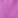 Wild Aster, color 1 of 3