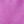 Wild Aster, color 1 of 3