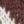 Currant Mallard, color 3 of 5