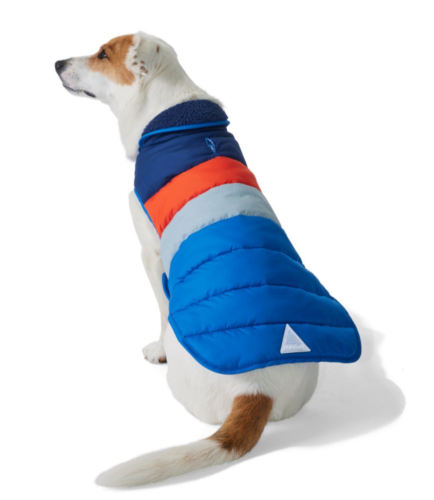 Bean's Insulated Dog Jacket, Deep Sapphire, small image number 2