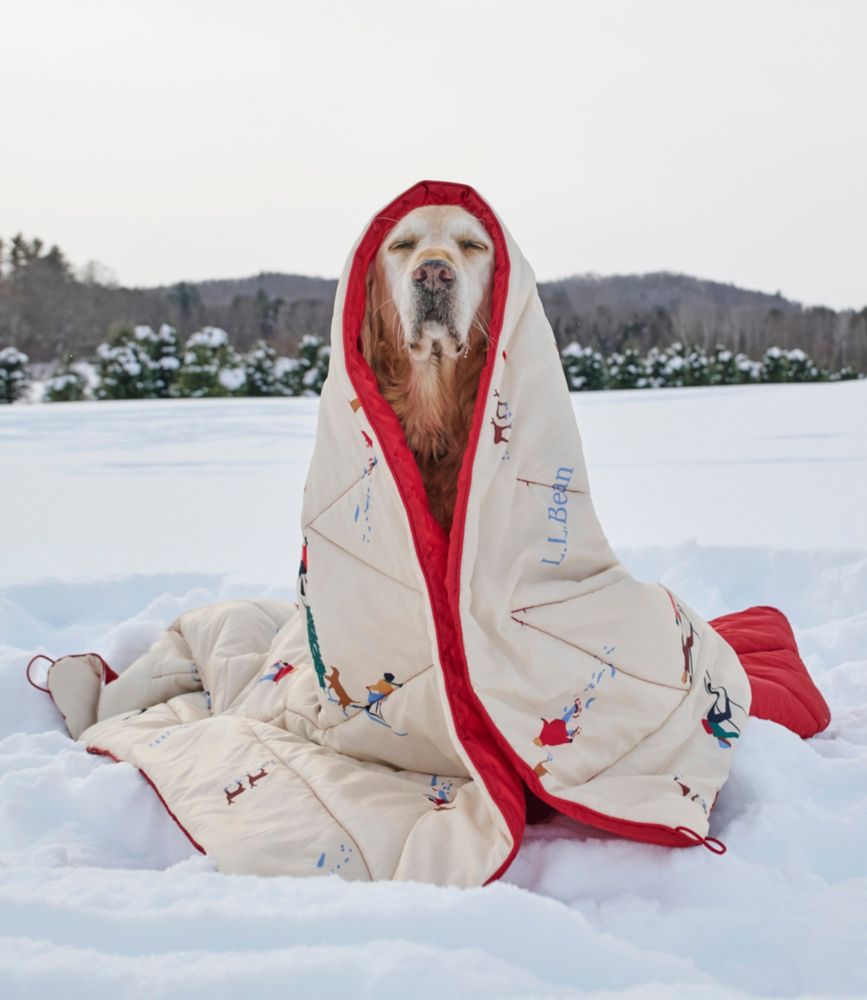 L.L.Bean Puffer Blanket