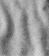 Detail, view 3 of 3
