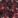 Dark Red, color 1 of 3