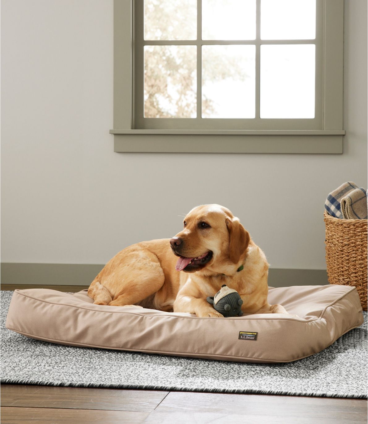 Premium Denim Therapeutic Dog Bed, Rectangular at L.L. Bean