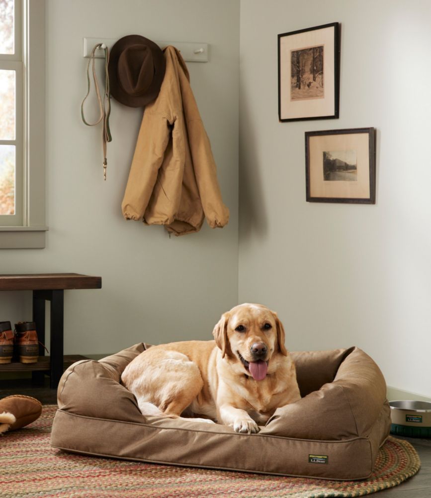 Dog lounging on a large gray denim bolster dog couch bed on a woven rug in a bright room.