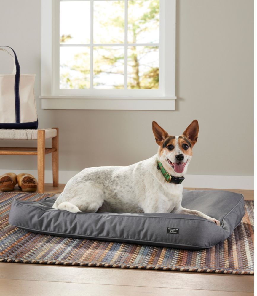 Dog Beds & Blankets
