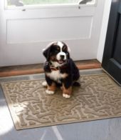 Waterhog Personalized Squares Pet Mat