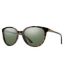 Color Option: Alpine Tortoise/Polar Gray Green, $195