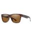  Color Option: Matte Tortoise/Polar Brown, $195.